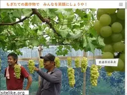 Sites similar to mogitateclub.com