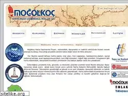 Sites similar to mogolkoc.com.tr