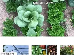 Sites similar to mogoorganic.com