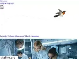 Sites similar to mogsc.org.my