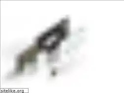 Sites similar to moharaouafi.fr