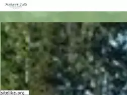 Sites similar to mohawkfalls.com