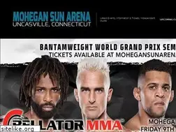 Sites similar to mohegansunarena.net