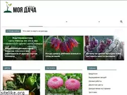 Sites similar to moj-dacha.ru