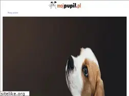 Sites similar to mojpupil.pl