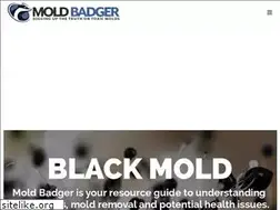 Sites similar to moldbadger.com