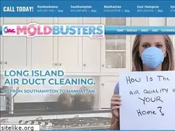 Sites similar to moldbusters.com