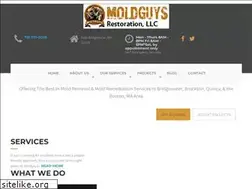 Sites similar to moldguysrestoration.com