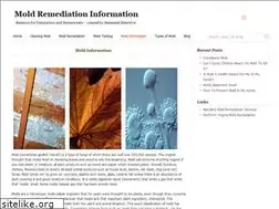 Sites similar to moldremediation101.com