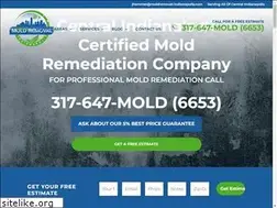 Sites similar to moldremoval-indianapolis.com
