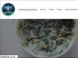 Sites similar to moldremovalinottawa.com