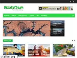 Sites similar to moldychum.com