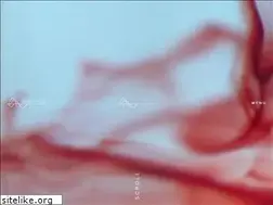 Sites similar to molecularstethoscope.com