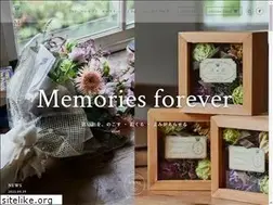 Sites similar to molek.jp