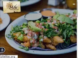 Sites similar to molenyc.com
