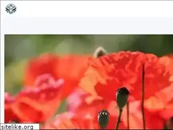 Sites similar to moleremovalat.com