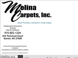 Sites similar to molinacarpetsinc.com