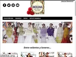 Sites similar to molinaflamenca.es