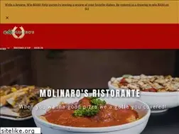Sites similar to molinarosonline.com