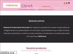 Sites similar to molinense.com