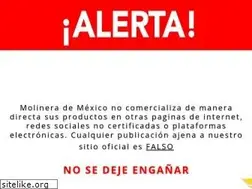 Sites similar to molineramx.com
