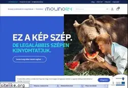 Sites similar to molino24.hu
