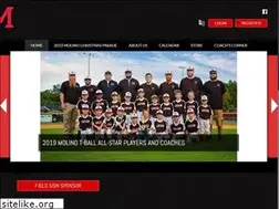 Sites similar to molinoballpark.com