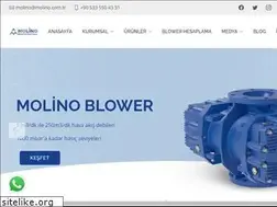 Sites similar to molinoblower.com