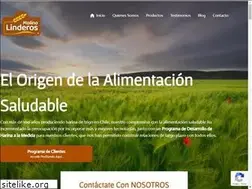 Sites similar to molinolinderos.cl