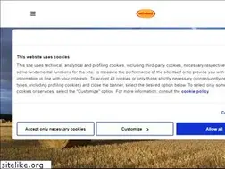 Sites similar to molinomininni.com