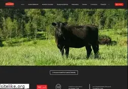 Sites similar to mollendo.cl
