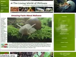 Sites similar to molluscs.at