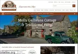 Sites similar to mollygallivans.com