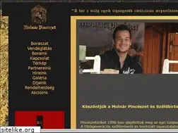 Sites similar to molnarpinceszet.hu