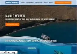 Sites similar to molokinimaui.com