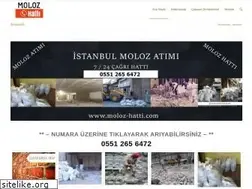 Sites similar to molozhatti34.com
