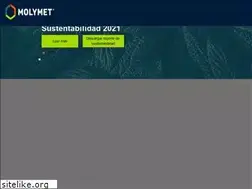 Sites similar to molymet.cl
