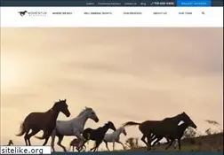 Sites similar to momentumminerals.com