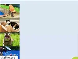 Sites similar to mommyandmepetsitters.com
