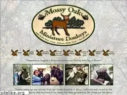 Sites similar to momsdonkeys.com