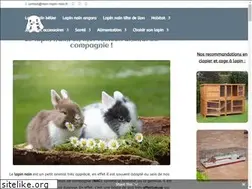 Sites similar to mon-lapin-nain.fr