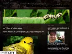 Sites similar to monarchbfly.com