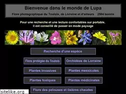 Sites similar to monde-de-lupa.fr