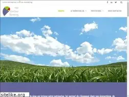 Sites similar to mondirecteurmarketing.com