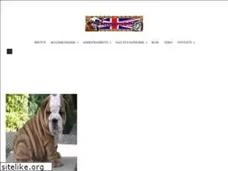 Sites similar to mondobulldog.altervista.org