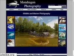 Sites similar to mondragonphoto.com