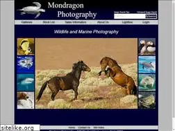 Sites similar to mondragonphotography.com