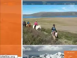 Sites similar to mongolkhan.mn