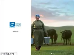 Sites similar to mongolmilk.mn