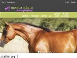 Sites similar to monicaadams.com